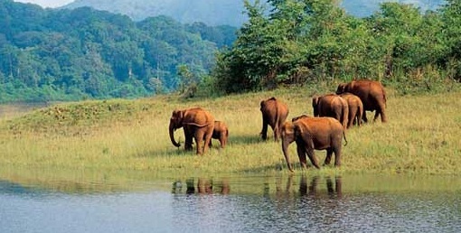 Important Tourist Places in Thekkady