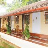 cochin munnar thekkady alleppey kovalam tour packages