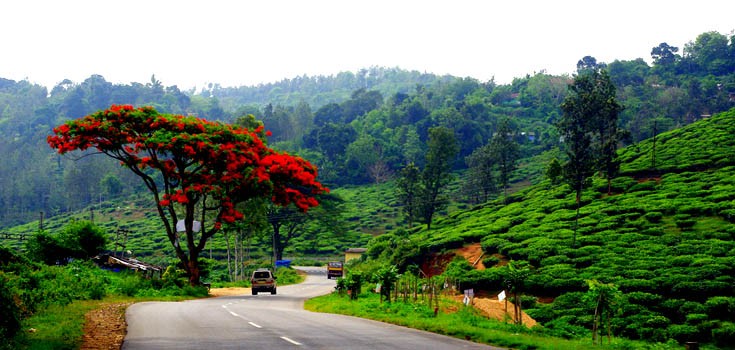 Vagamon–Thekkady Tour Package