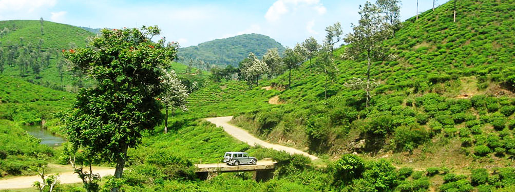 Thrissur–Munnar–Thekkady Tour Package